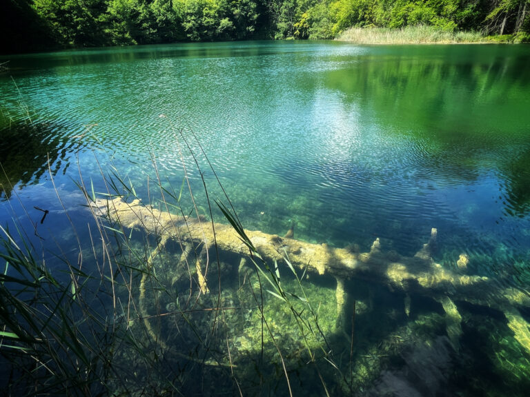 Plitvicer Seen - Klares Wasser
