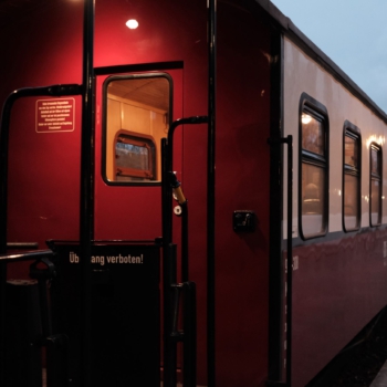 Molli Waggon Molli Waggon